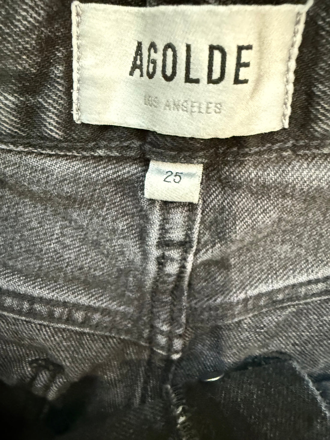 AGOLDE Luna High Rise Pieced Taper in Posses- 25