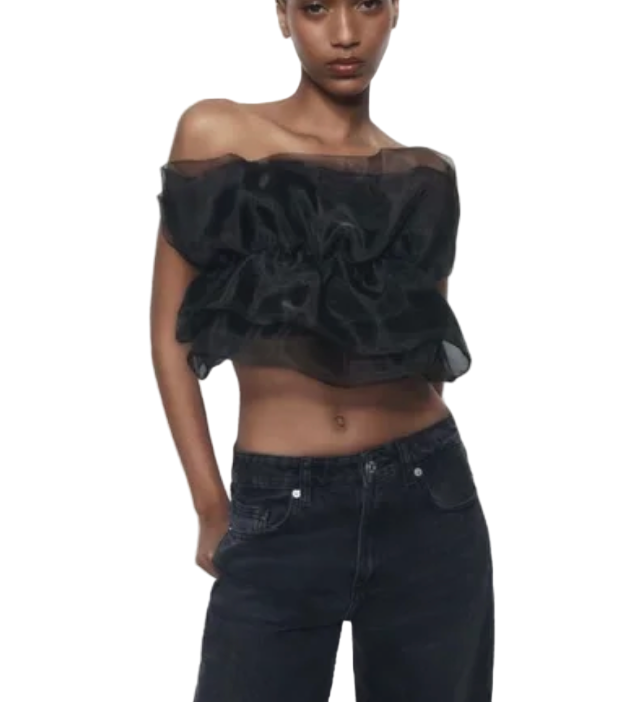 Zara Organza Bandeau Top - S