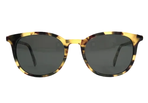 Warby Parker Durand Sunglasses